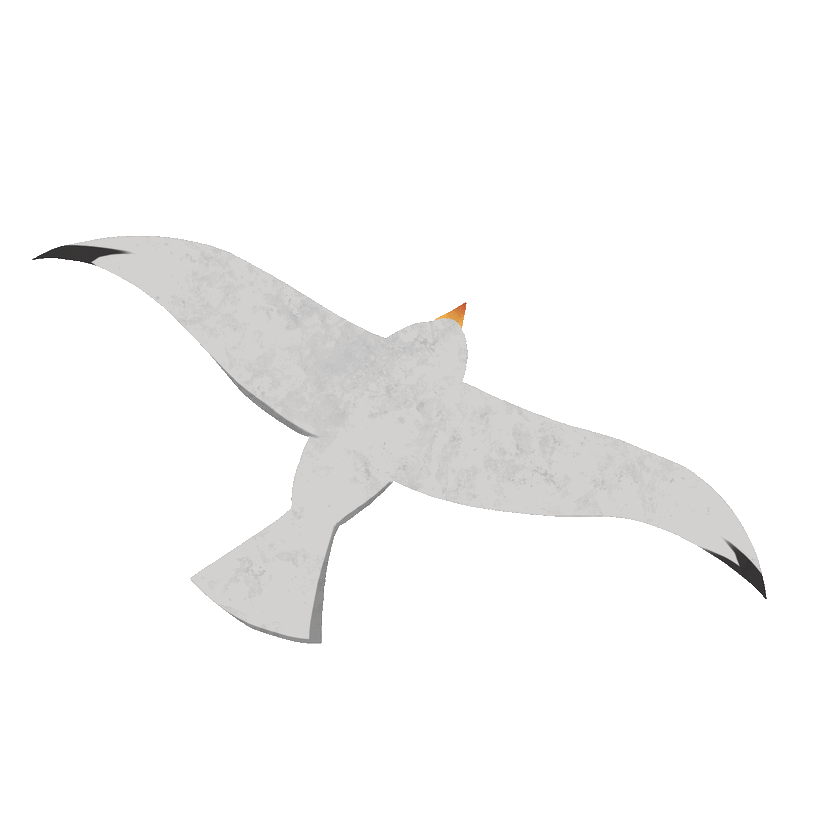 Seagull animation details