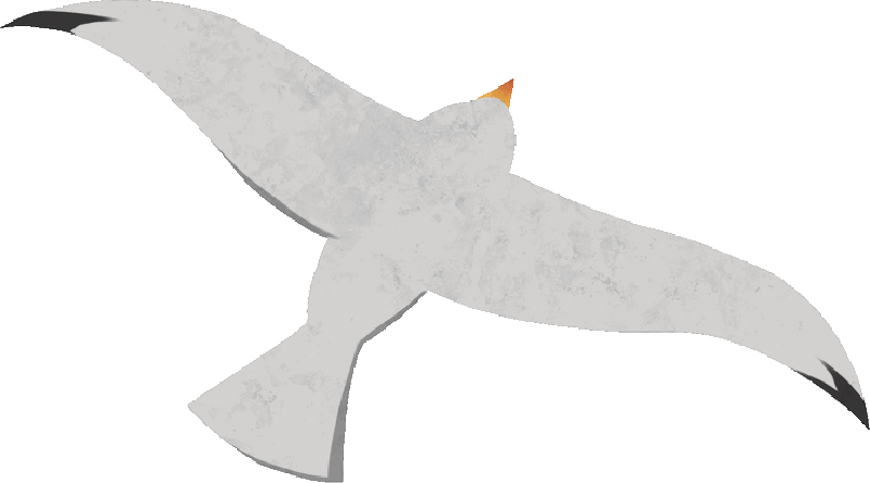 2D Animated gif of a seagull